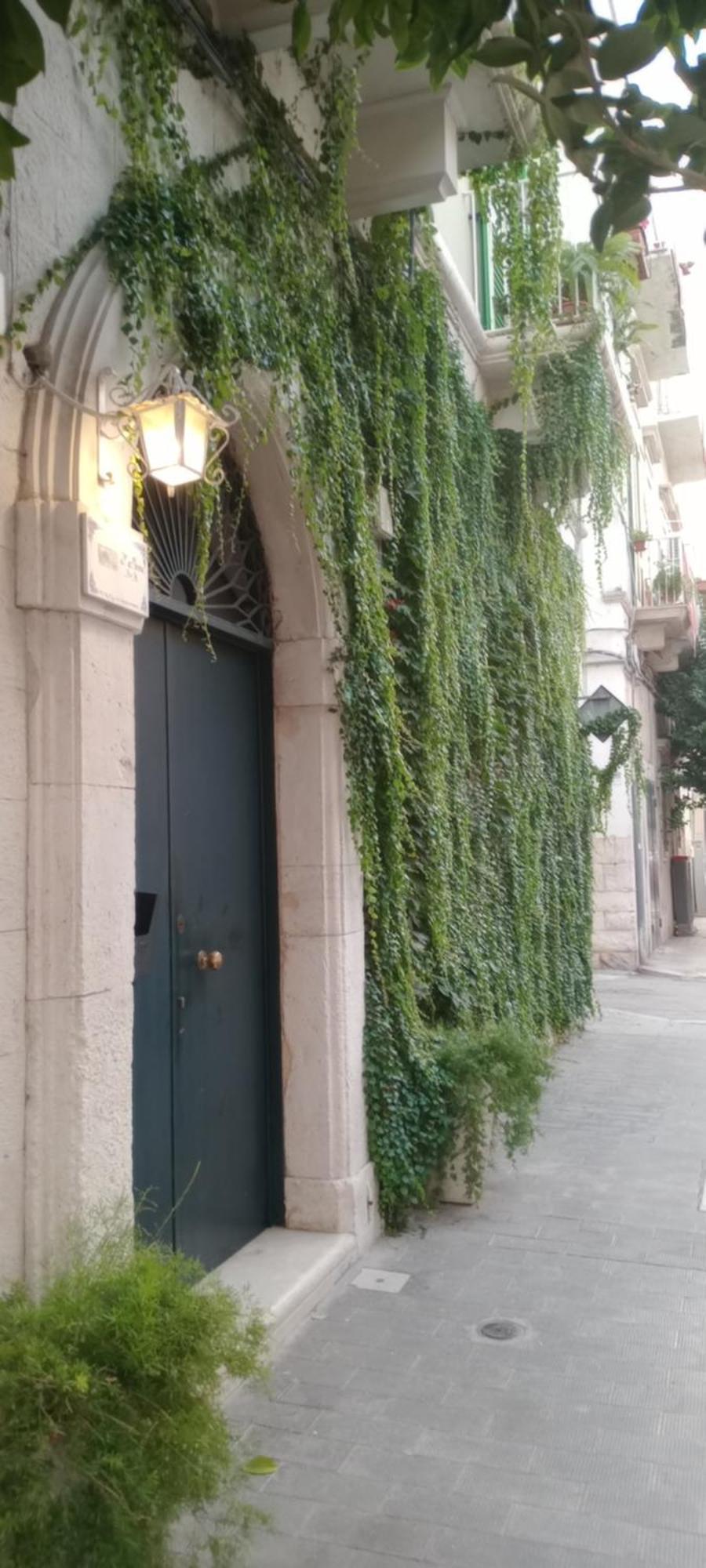 Bed and Breakfast Altana Di Tufo Molfetta Exterior foto